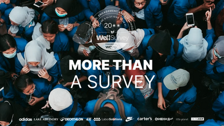 Listening, Learning, Leading: The WELL Survey Approach to Accountability