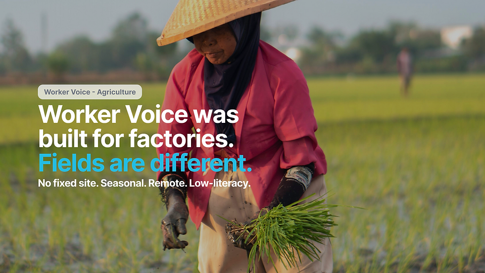Blind Spots, Zero-Tolerance Risks + Deep Supply Chain Insights from Worker Surveys in Agriculture