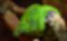 Fish and Wildlife, Snake, Snakeskin, Exotic