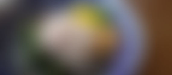 獅子丸 冬メニュースタート