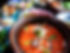 DSC08632.jpeg