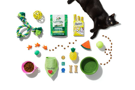 2024-5-23_MKTG-32439_HelloSunshine_Pet_4x3_X_2903-1200x800-5b2df79 (1)