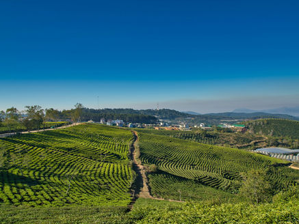 Da Lat, Vietnam's mountain city