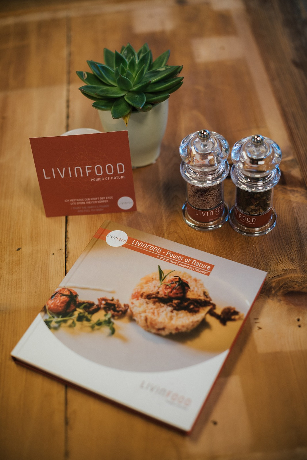 Ayurvedische Rezepte, Veganer Kochbuch, Livinyou