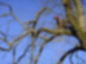 DSC00329.jpg