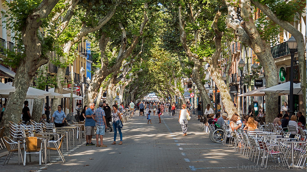 Cafe life and restaurants in Denia Spain are great for retiring in Spain.