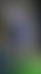 Stop freaking trying to scoop!