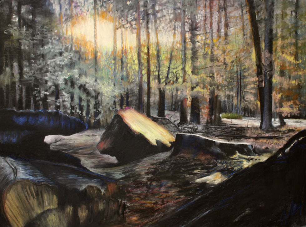 Zentner- In the Wings