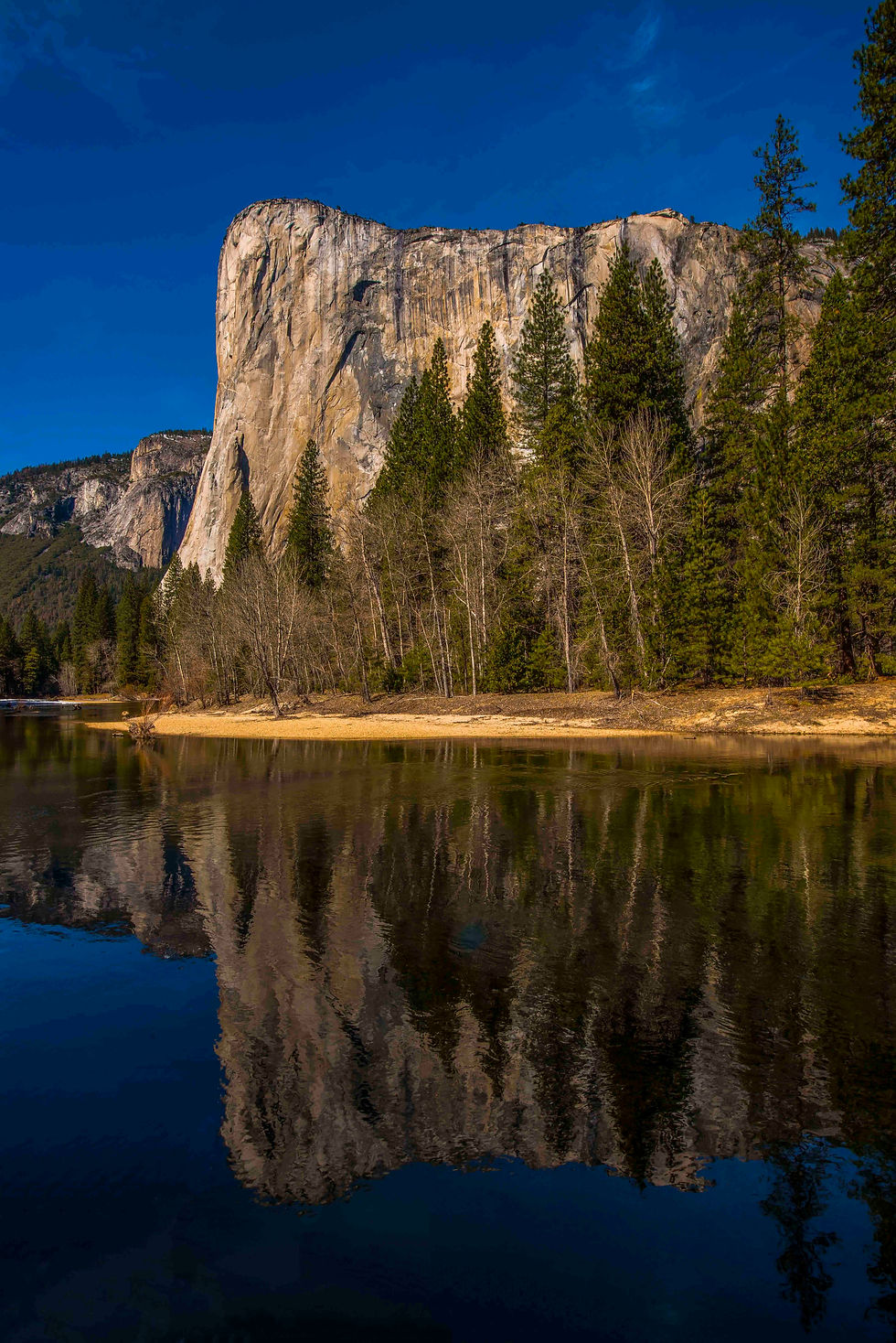 J.Kallestad- Reflected El Cap