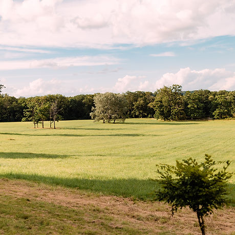 Grand parc château location Vienne