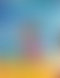 Birthday Party Today