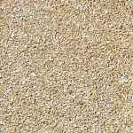 sable_8-150x150.jpg.webp
