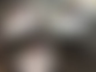 Fyne Fish's Range of Edible Seaweeds! A fantastic source of Iodine !