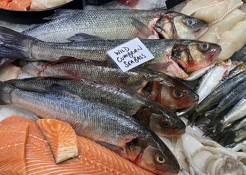 Wild Sea bass