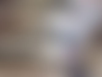 Line Caught Wild Solway Sea bass back in season !