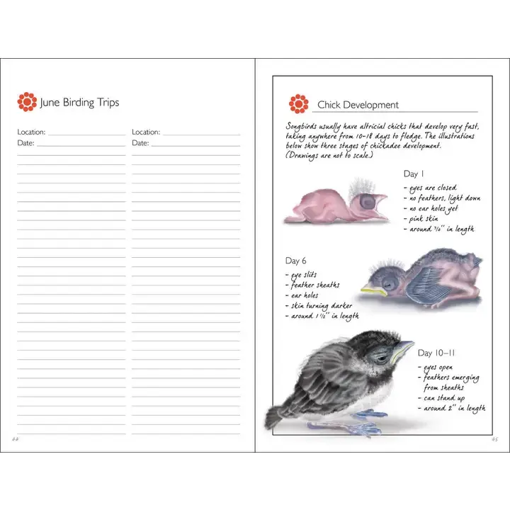 Thumbnail: Birding Journal