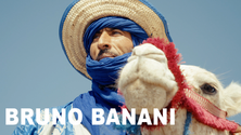 BB 22.png