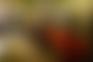 GROUPE 1 : souvenirs en images de la Fête de Noël 🎉