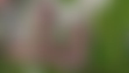 Le CMPro vu du ciel ⛅