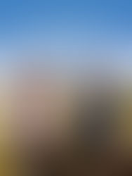 Une avant-première qui rassemble 🎬