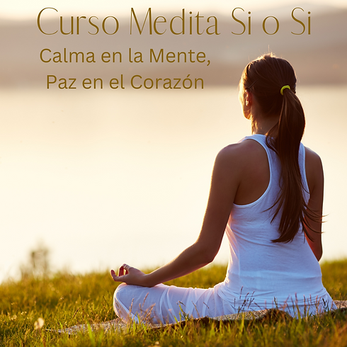 Medita Si o Si