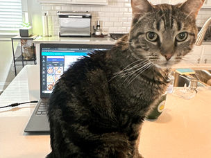 A Review of Mom's Kitchen