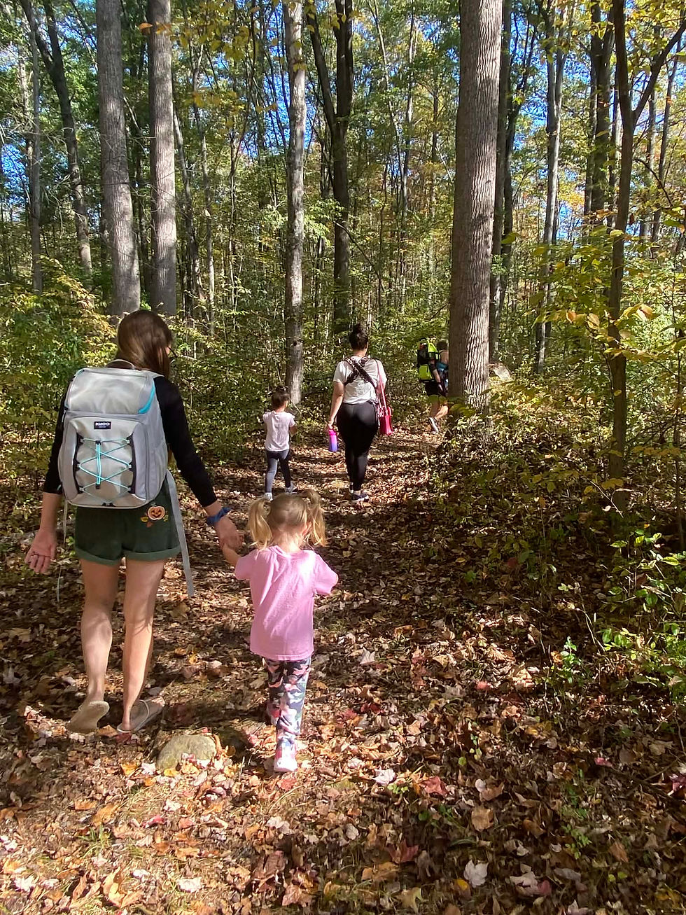 Homeschool Pod Day Meetup @ Pohatcong Creek Arboretum, Washington
