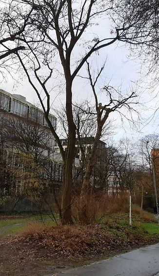 Richtung Staatsarchiv.jpg