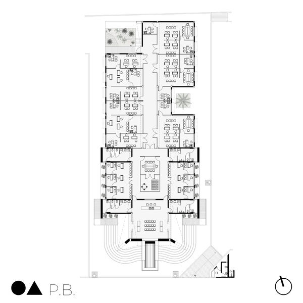 Planta.jpg