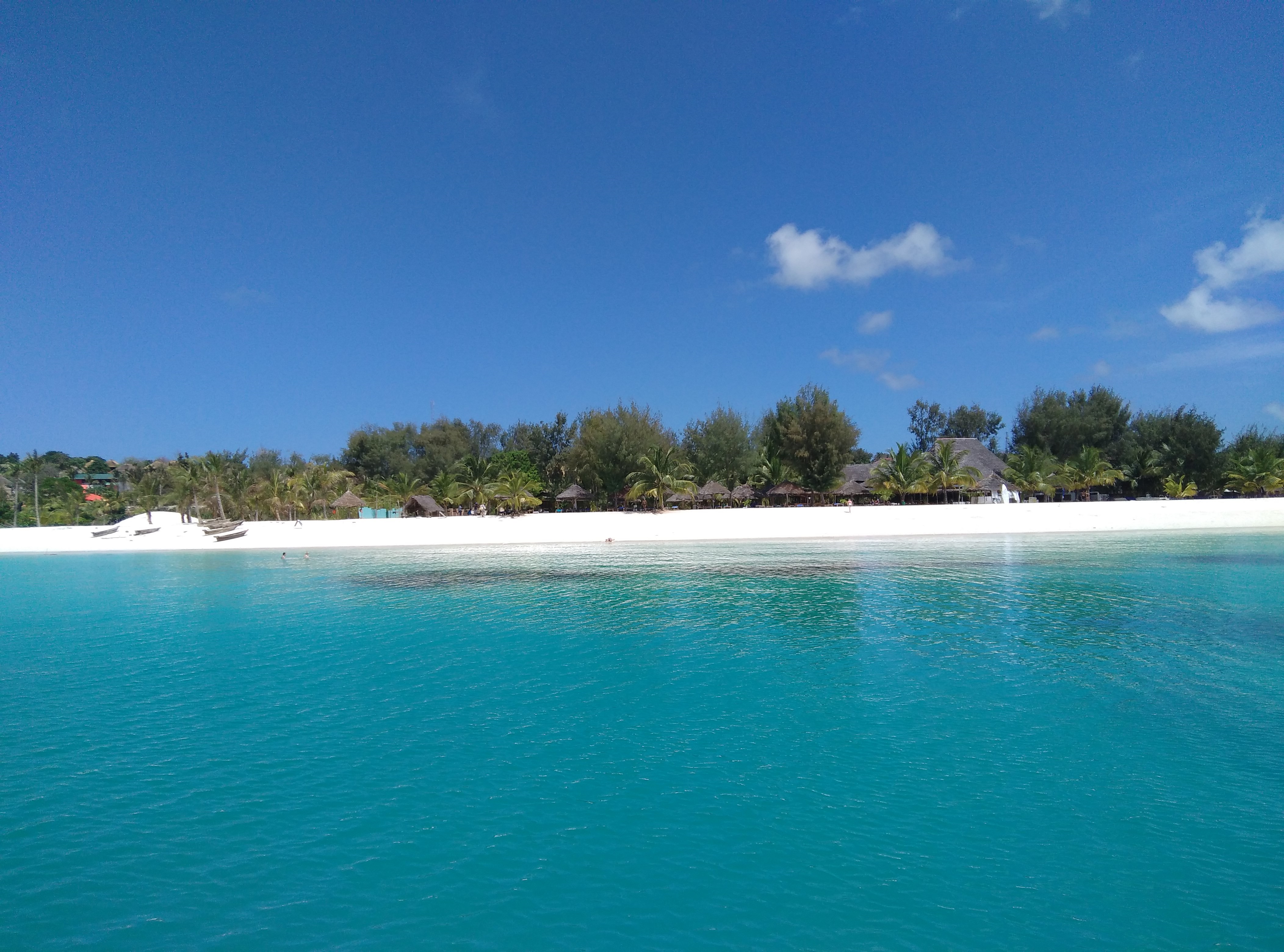 Zanzibar l Exciting Boat Tours & Boat Excursions