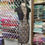 Thumbnail: Embroidered Swiss Voile Bolero