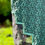 Thumbnail: The Verdant Facade - Moss Green