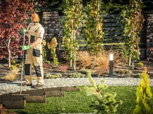 Why First Impressions Start with Your Commercial Landscape