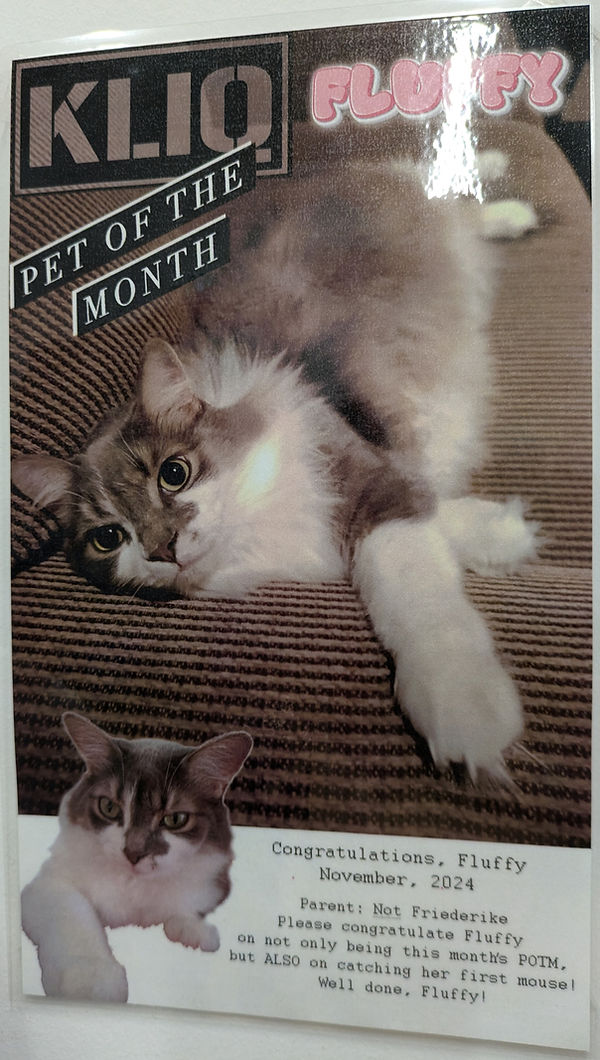 Pet of the month!