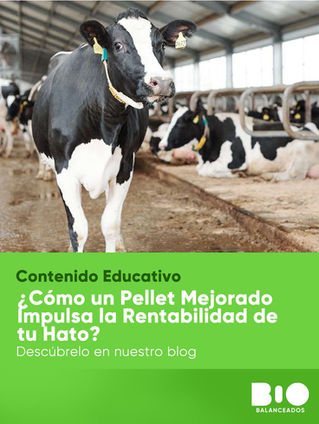 ¿Cómo un Pellet Mejorado Impulsa la Rentabilidad de tu Hato?