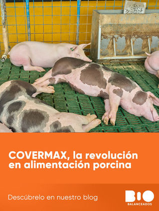 COVERMAX, la revolución en alimentación porcina