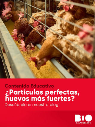 ¿Partículas perfectas, huevos más fuertes?