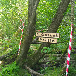 IMG_20250615_151659_1