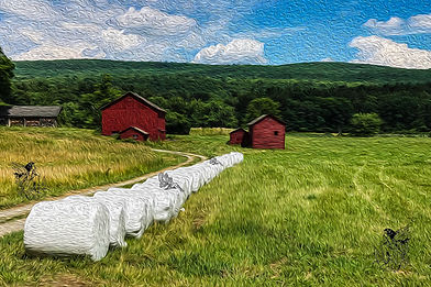 2 Red Barns.jpg
