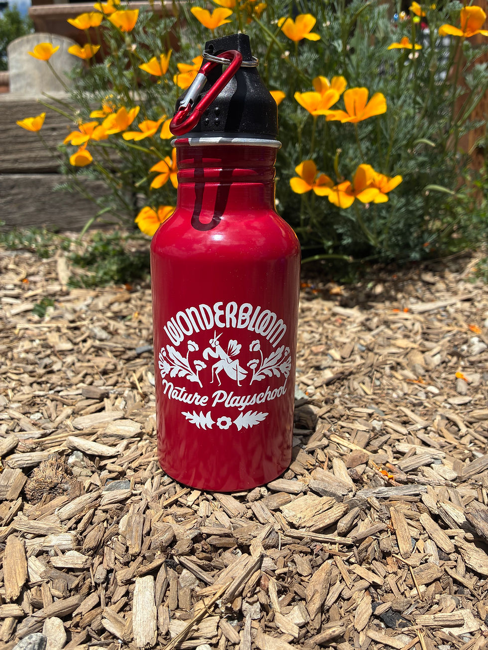 Thumbnail: Wonderbloom Water Bottle