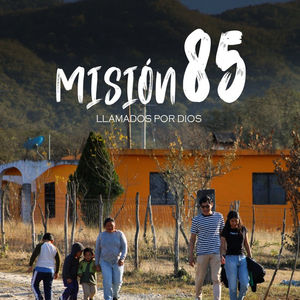 Diarios Metacognitivos