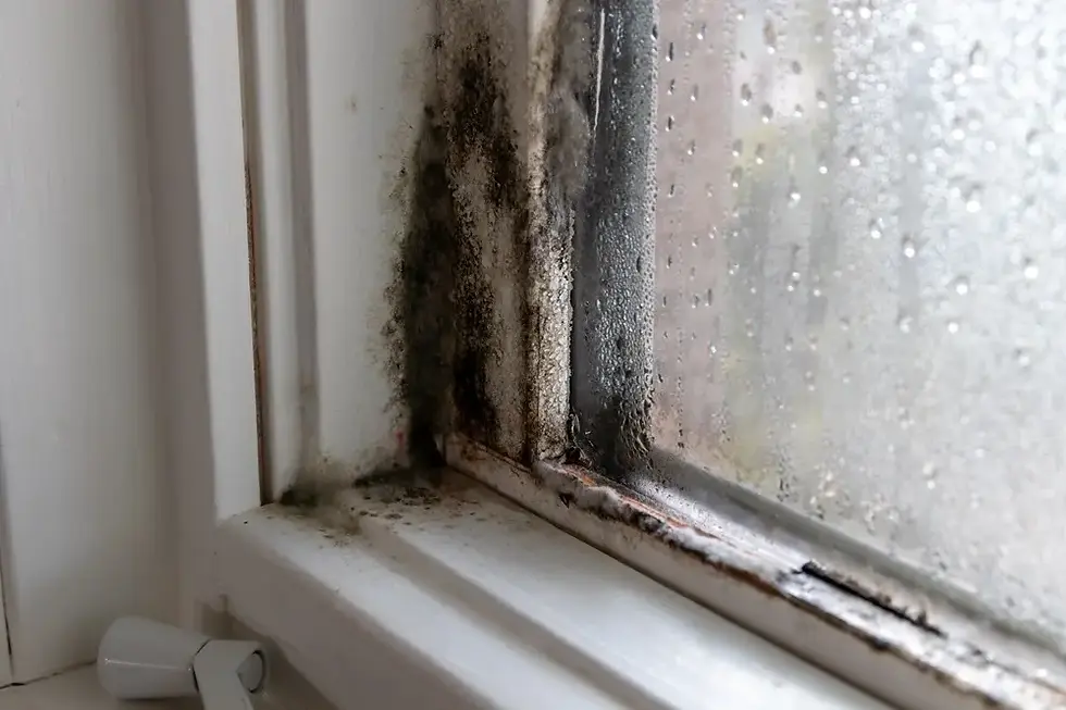 Eye-level view of a damaged window frame needing replacement