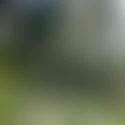 James Hardie mountain sage siding 