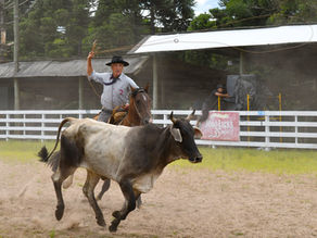 Falta um mês para o Rodeio do CTG Querência
