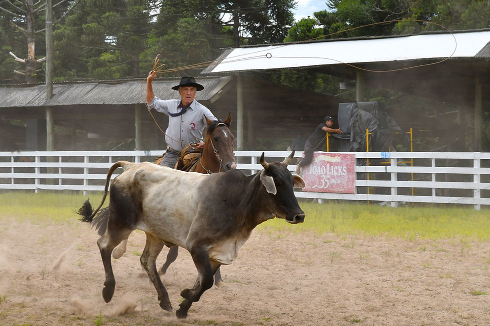 Falta um mês para o Rodeio do CTG Querência
