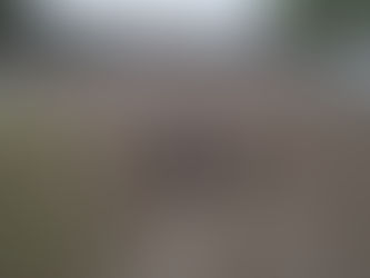 Canela vive quatro dias de tradição no Rodeio Crioulo Nacional e espera mais de 30 mil pessoas