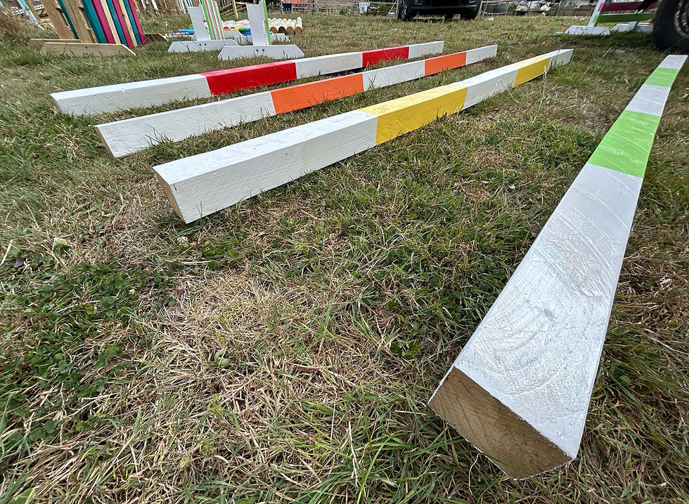 Thumbnail: Anti-roll trot poles