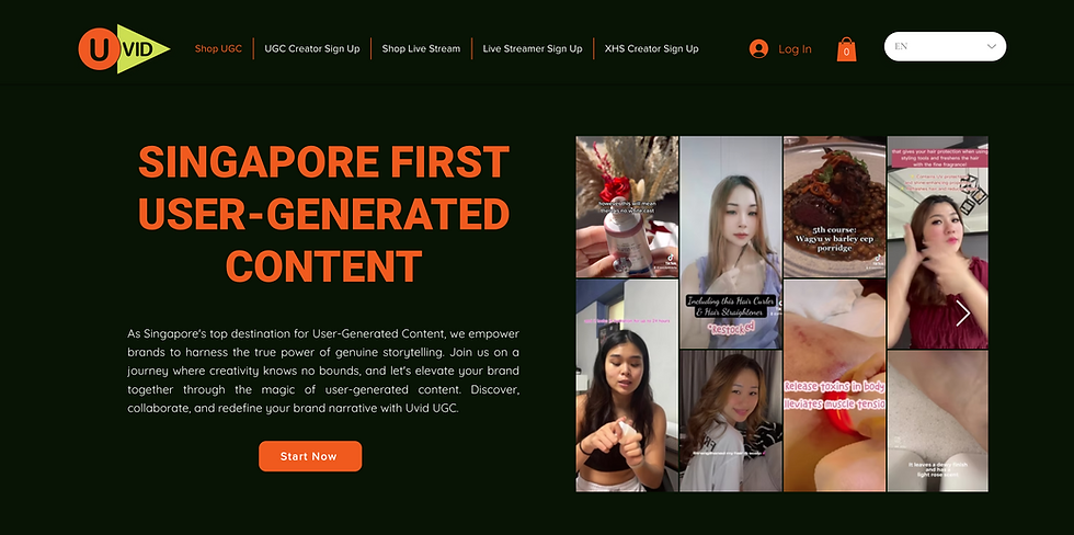 UVID's UGC Agency Website
