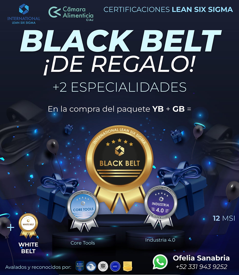 YELLOW BELT, GREEN BELT Y BLACK BELT