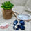 Miniature : Sodalite